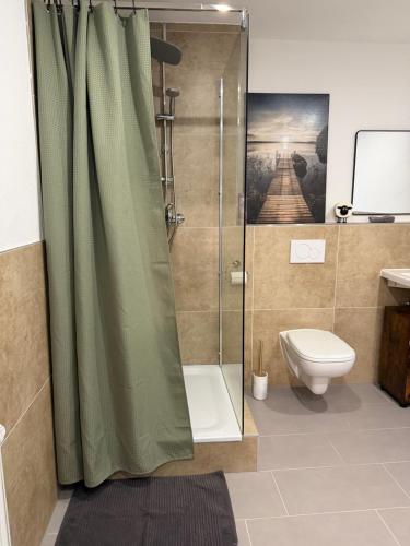un bagno con doccia e WC di Tiger Apartment a Sinsheim