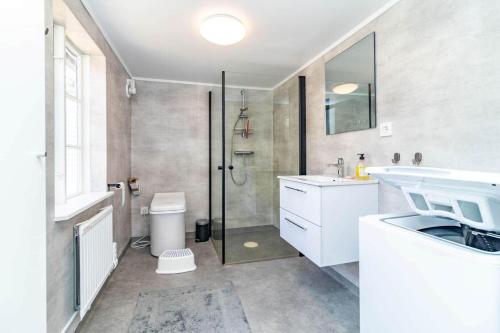 ein Badezimmer mit Dusche, Waschbecken und Toilette in der Unterkunft KRO958 Hamneda - Torsgård 2 in Traryd