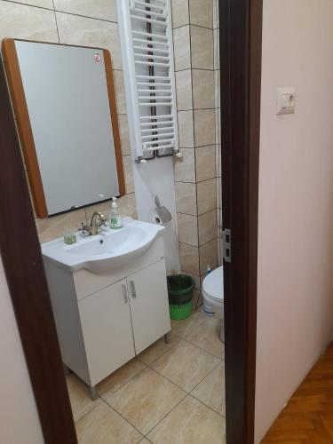 a bathroom with a sink and a mirror and a toilet at Cazare Craiova Părului 11 in Craiova