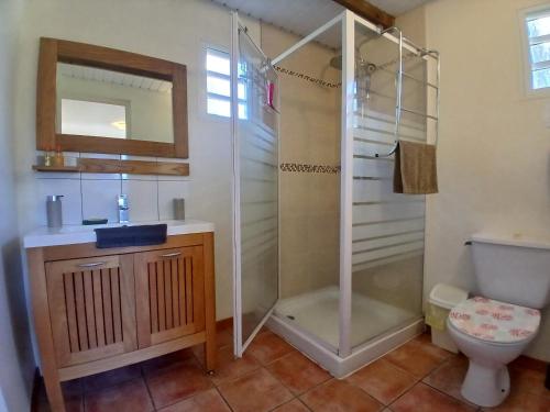 een badkamer met douche, wastafel en toilet bij La Kaz Kako in Sainte-Rose