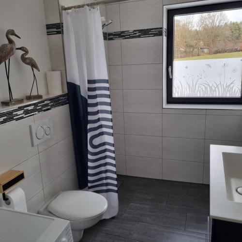 une salle de bain avec toilettes et fenêtre dans l'établissement Ferienwohnung Wiesengrund, Ruhig im Ortsteil von Roth, nähe Rothsee, 25 min Messe Nbg, à Roth