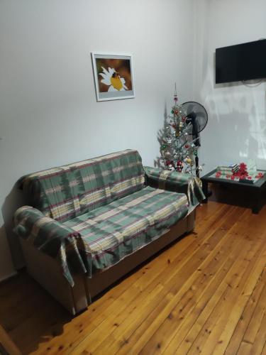 Ritsa apartment