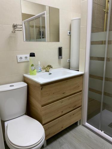 a bathroom with a toilet and a sink and a shower at Miamar in Seville