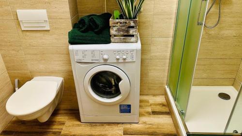 un bagno con lavatrice e WC di Šumava ski apartment under Zadov 70m2 a Stachy