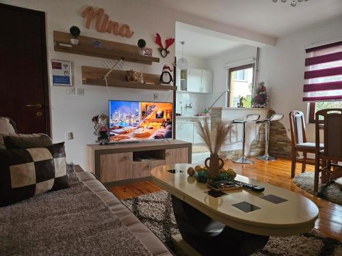 Et tv og/eller underholdning på Apartmani NINA Zlatar