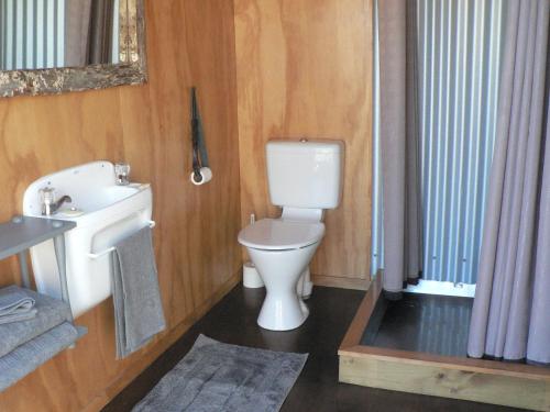 une salle de bains avec toilettes et lavabo dans l'établissement The Old Shepherd, à Masterton