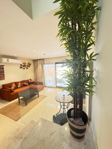 a living room with a couch and a palm tree at The Beach House by JS in Muscat
