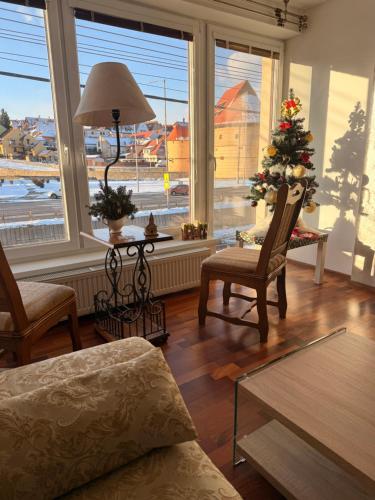 a living room with a christmas tree in a window at Contact Apartman in Bardejov