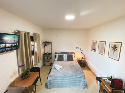 een slaapkamer met een bed en een tv erin bij Pousada CTL Igarassu in Igarassu
