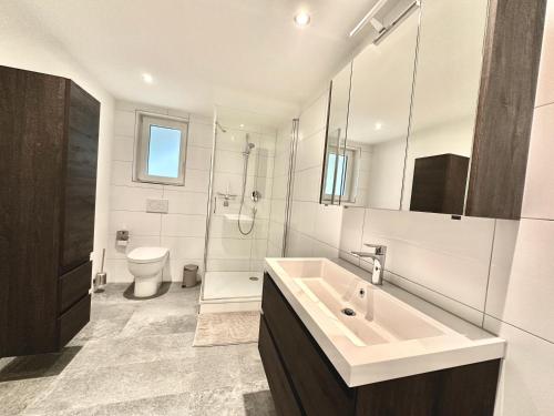 een witte badkamer met een wastafel en een toilet bij Furnished Living Room in Günsberg Solothurn in Günsberg  