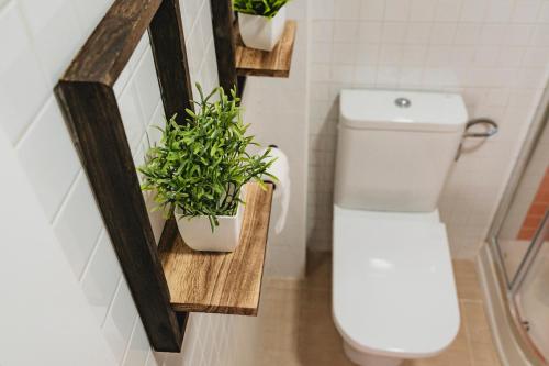 La salle de bains est pourvue de toilettes et de plantes en pot. dans l'établissement Alojamientos Estrella Baeza, à Baeza