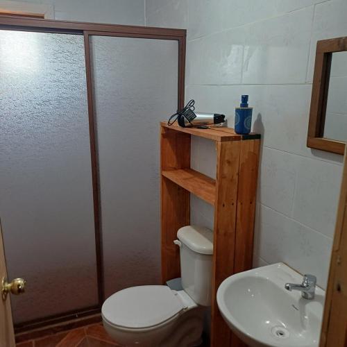 a bathroom with a toilet and a sink at Refugio las Mariposas Chillán in Chillán