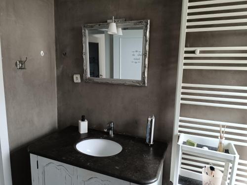 a bathroom with a sink and a mirror at Lonzee in Gembloux