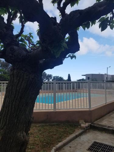 Panama, 300m de la plage, vue mer, piscine