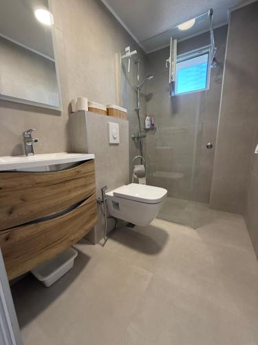 een badkamer met een douche, een toilet en een wastafel bij Apartman Luna Sabunike in Privlaka