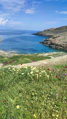 Waterfront villa with private pool and seaview
