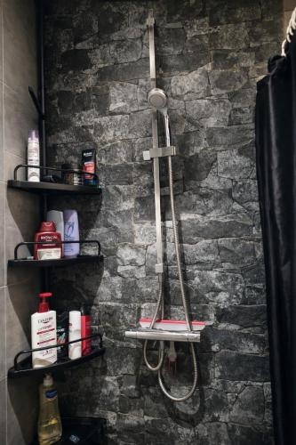 een badkamer met een stenen muur en een douche bij Tomorrowland Luxury Apartment in Boom