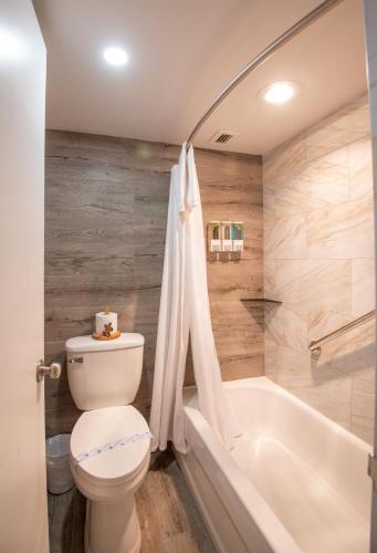 a bathroom with a toilet and a tub and a sink at Clarenville Inn in Clarenville