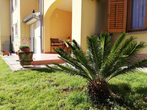 een palmboom voor een huis bij Good choice in Valbandon