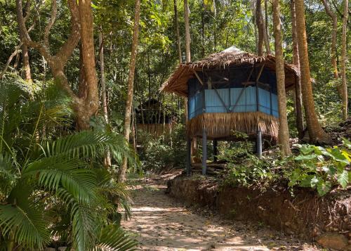 une cabane dans les arbres au milieu d'une forêt dans l'établissement Pyramid Yoga Koh Phangan, à Ko Pha Ngan