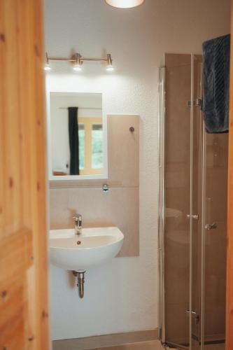 a bathroom with a sink and a mirror and a shower at Schmiede der Wasserburg Liepen in Gielow
