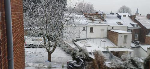 een uitzicht op een met sneeuw bedekte stad met huizen bij Belle CHAMBRE in Seraing