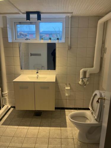 a bathroom with a toilet and a sink and a window at Cozy Corner ferielejlighed in Augustenborg