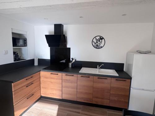 a kitchen with a sink and a white refrigerator at Studio Rénové de Charme en Provence in Caumont-sur-Durance