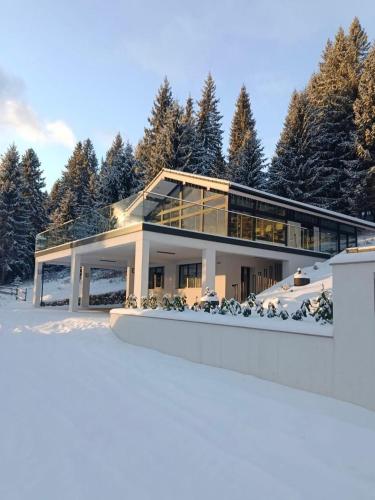 a house in the snow with trees in the background at Berryhouse in Vyshkiv