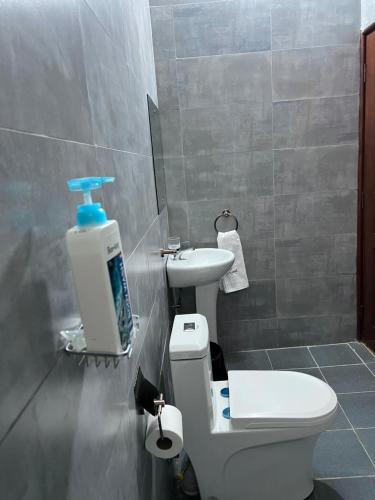 a bathroom with a white toilet and a sink at Tiny Card Milimani Homes in Kisumu