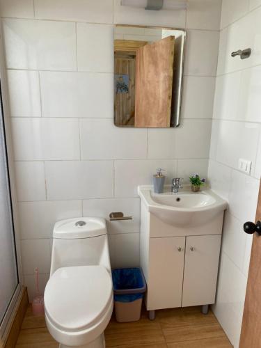 Et badeværelse på Cabañas alto de coñaripe