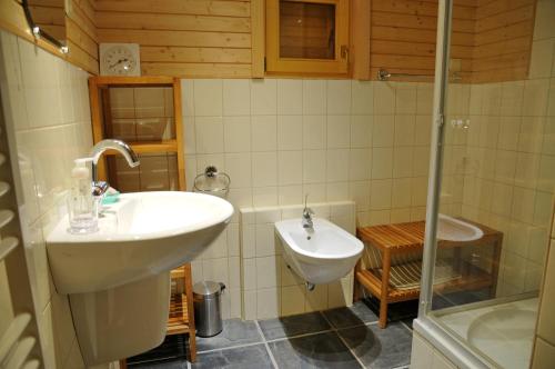 een badkamer met een wastafel en een douche bij La Grande Ourse in Durbuy