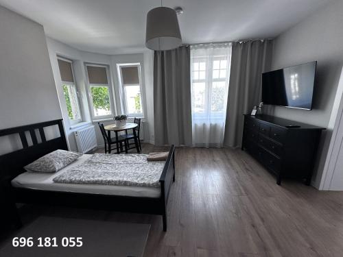a bedroom with a bed and a flat screen tv at Belgard- House 32 in Białogard