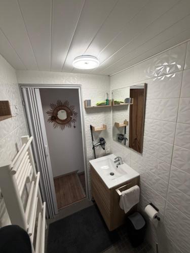 une salle de bains avec un lavabo et un miroir dans l'établissement Charmant T1 au calme, à Cernay