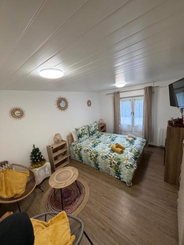 un salon avec un lit et une télévision dans l'établissement Charmant T1 au calme, à Cernay