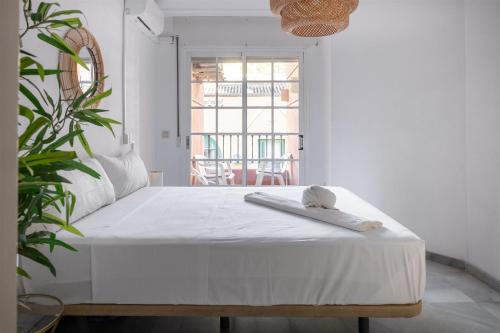 Malagueta Sol Suite