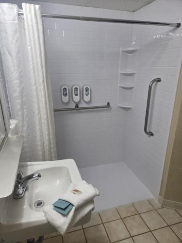 a bathroom with a shower and a sink and a tub at Barkers Island Inn Resort & Conference Center in Superior