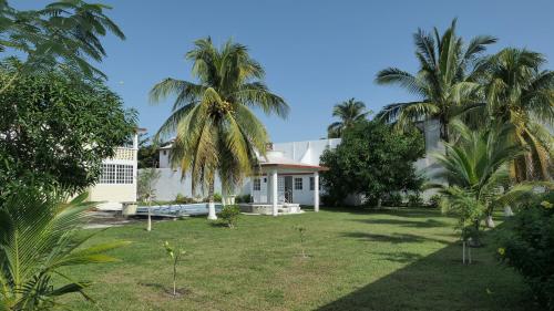 a house with palm trees in the yard at Alojamiento con alberca privada y jardín grande in Tecolutla