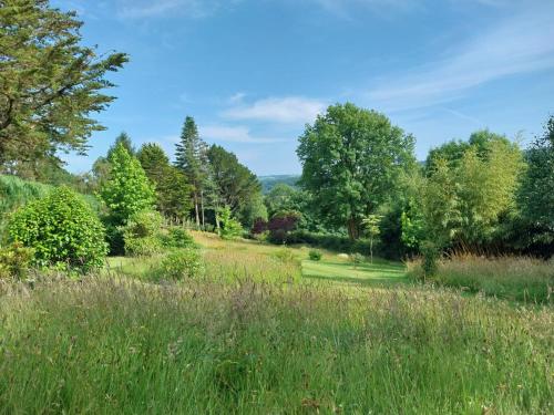 a field of grass with trees in the background at Walkers Retreat with garden and views in Holne