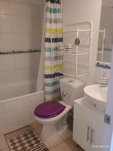 a bathroom with a purple toilet and a sink at M&L departamento in Limache