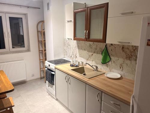 a kitchen with a sink and a stove at Silesia młyn in Katowice