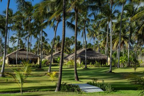 a group of palm trees and huts at Primitivo Hotel & Villas in Passo de Camarajibe