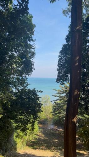 een uitzicht op de oceaan tussen twee bomen bij The Hill Koh Mak 