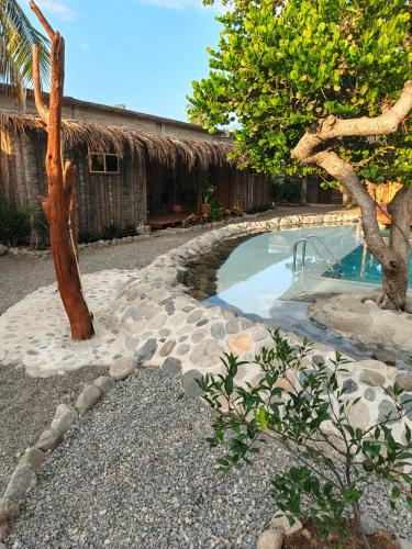 a swimming pool with a tree and a building at Hostel Flakos in Zihuatanejo