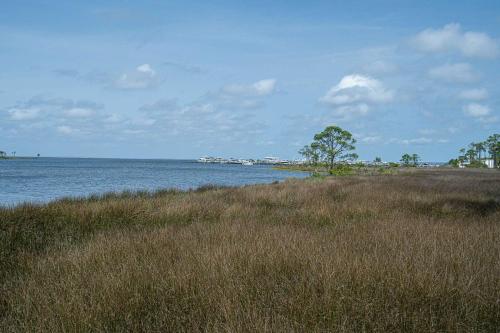 a field of tall grass next to a body of water at Seashell Shuffle at Sandestin Pilot House in Destin
