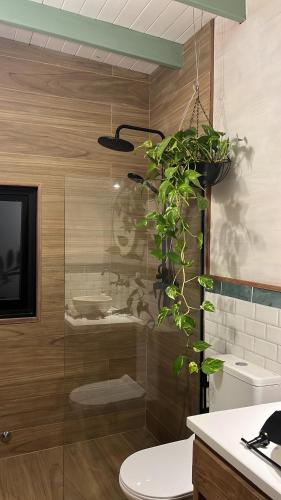 a bathroom with a glass shower with a plant at Mar de Fondo in La Pedrera