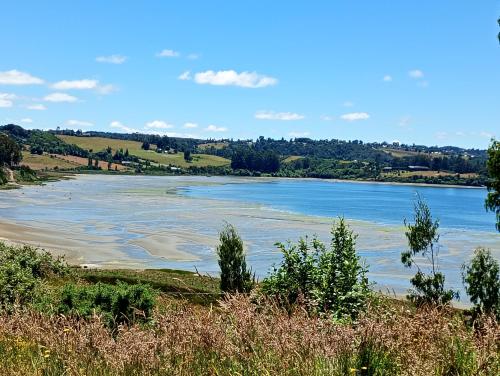 a view of a river from a hill at Cabaña coñico in Coñico