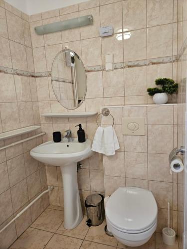 een badkamer met een wastafel, een toilet en een spiegel bij FAMILLE Apartman in Tapolca
