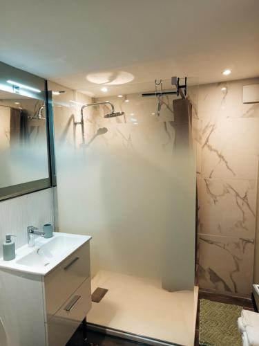 a bathroom with a shower and a sink and a mirror at Studio cosy in Auby