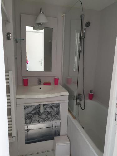 un bagno con lavandino, doccia e specchio di Vue sur mer 300m de la plage ad Arzon